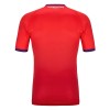 Fiorentina Third Tenue 2024-25  - Kids